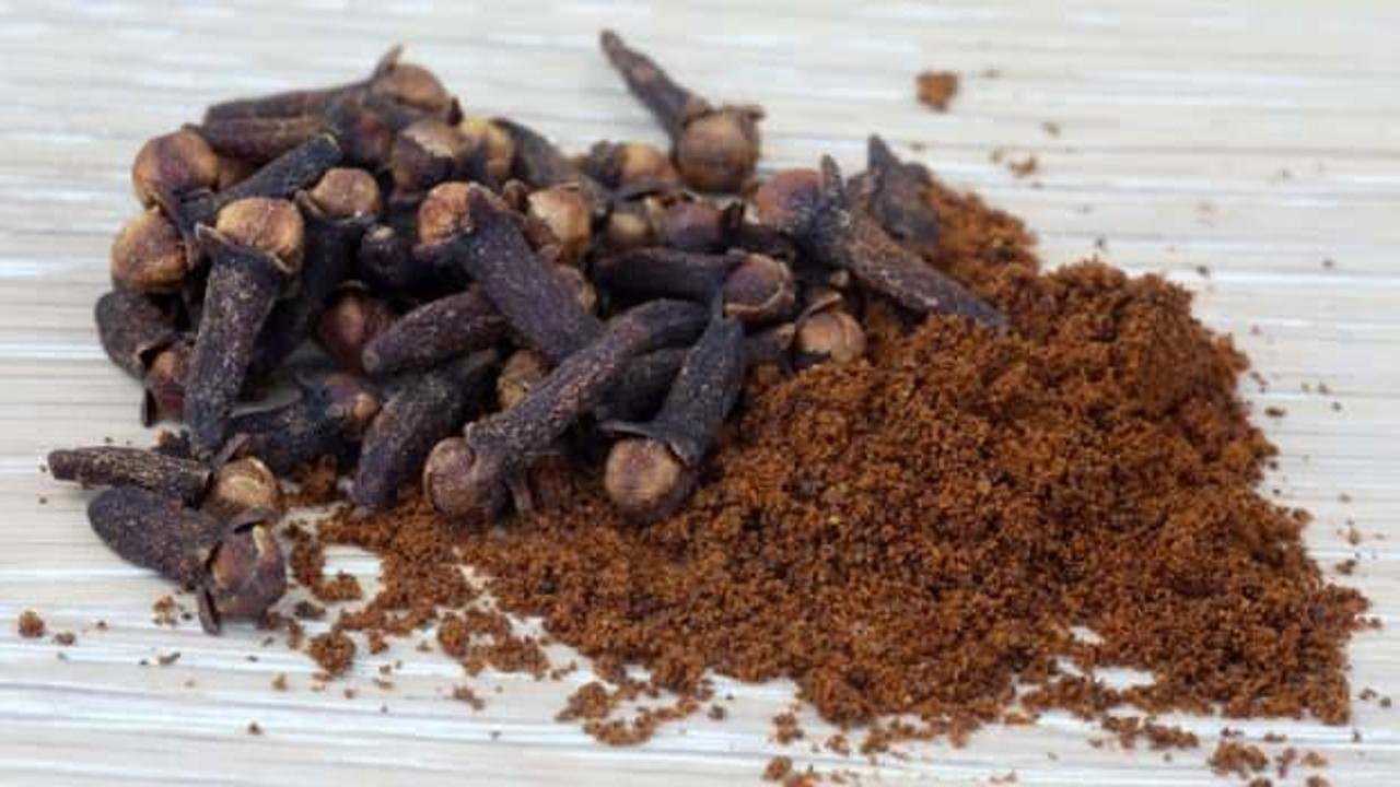 Karanfil